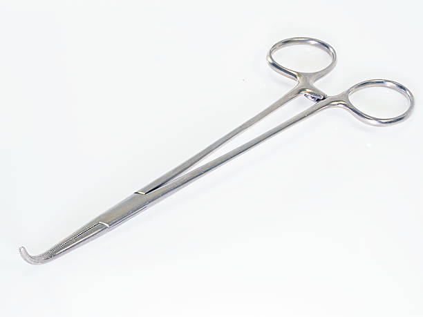 istock surgical suture forceps in stainless steel 186336201