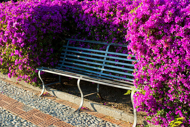 Bench in the flowering park  in Taormina. Sicily. South Italy
