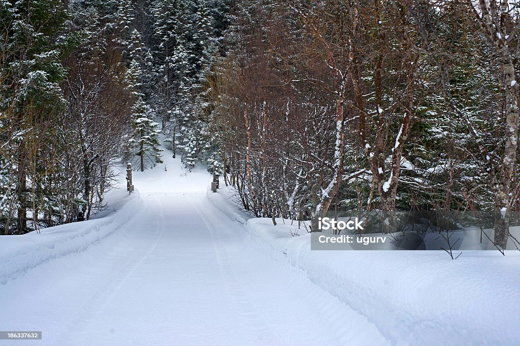 La entrada cubierta de nieve - Foto de stock de Aire libre libre de derechos