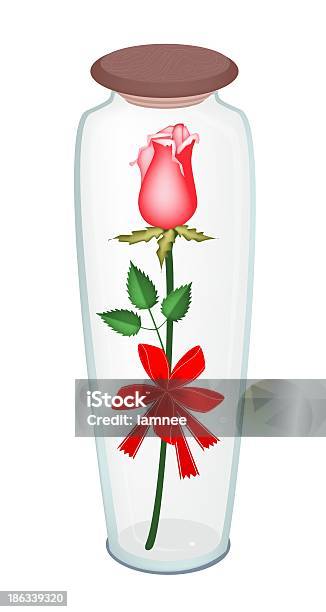 Vetores de Linda Rosa Vermelha Com Fita De Vidro De Garrafa e mais imagens de Amor - Amor, Aniversário, Arranjo de Flores