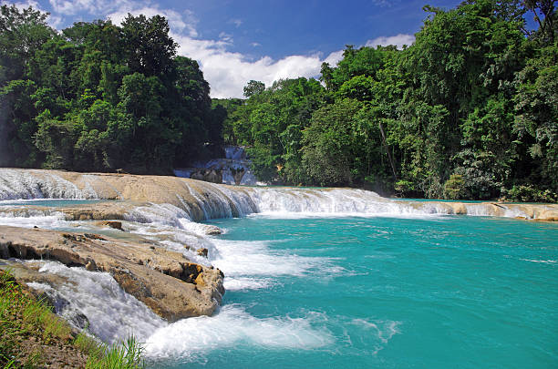istock Aqua Azul waterfall, Chiapas, Mexico 186340210