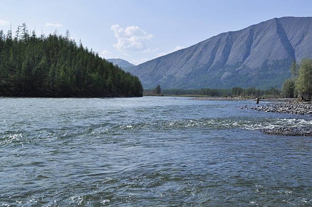 istock Pebble Bank of a mountain river. 186341976