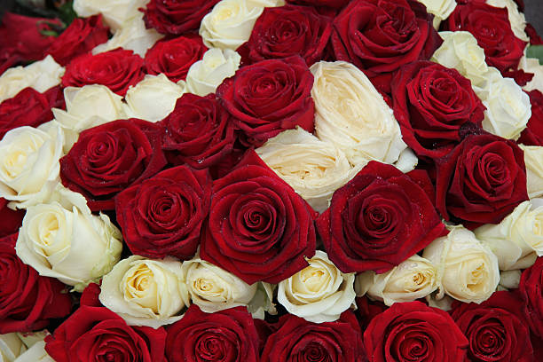 Red and white roses in a floral wedding centerpiece