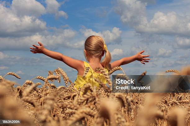 Menina No Campo De Trigo - Fotografias de stock e mais imagens de Criança - Criança, Milho, Amarelo