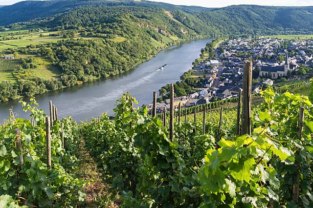istock Vineyards of the Moselle River 186342011