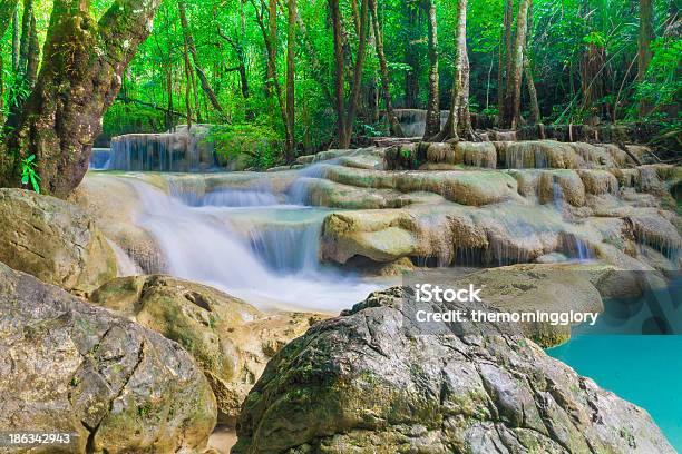 Cascata Foresta Profonda In Kanchanaburi Thailandia - Fotografie stock e altre immagini di Albero