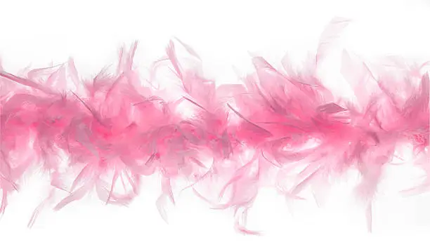 Strand of a pink feather boa