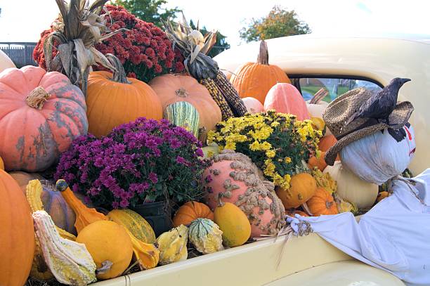 istock Truck filled with the fall harvest 186343353