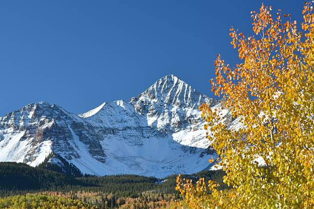 istock Wilson Peak Colorado with aspen 186344466