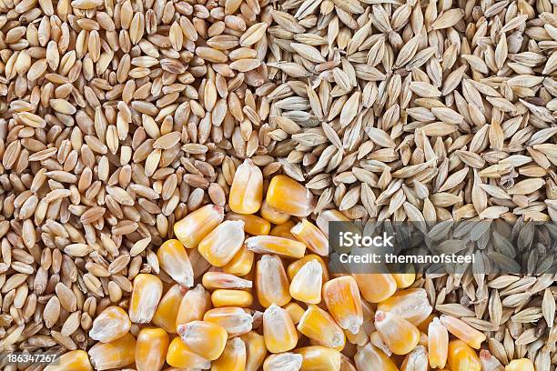 De Trigo De Cevada E Milho - Fotografias de stock e mais imagens de Agricultura - Agricultura, Cereal, Cevada