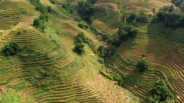 Vietnam drone aerial view 4K