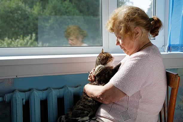 istock The old woman holds cat in a lap 186347969