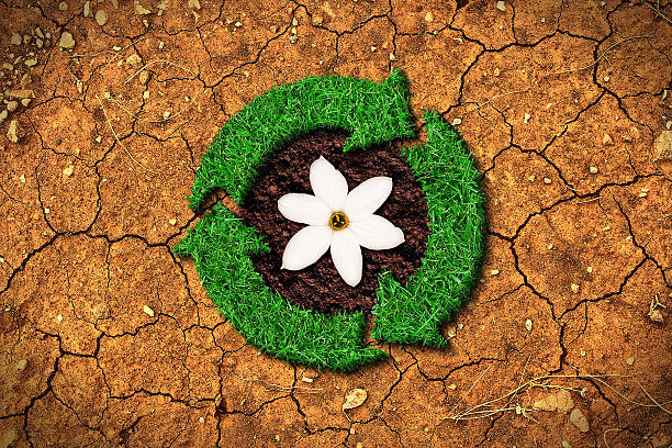 Ecological concept - grass recycle sign on a cracked ground stock photo