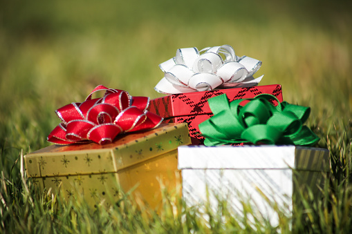 Three Christmas Presents Glowing in the Morning Sun