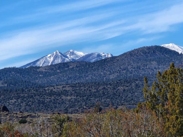 istock Large Rolling Forest with San Fransisco Peaks in Background 1863487260