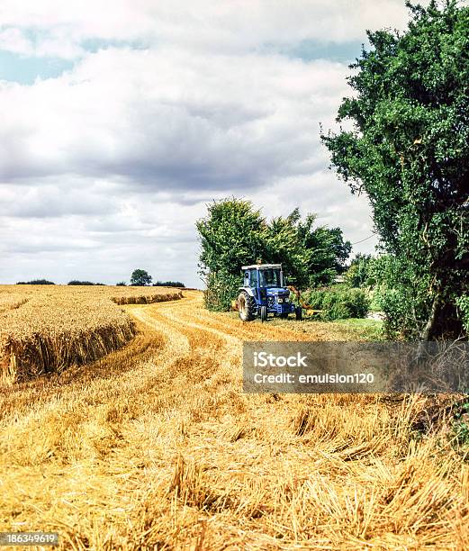 La Agricultura Foto de stock y más banco de imágenes de Aire libre - Aire libre, Campo - Tierra cultivada, Fotografía - Imágenes