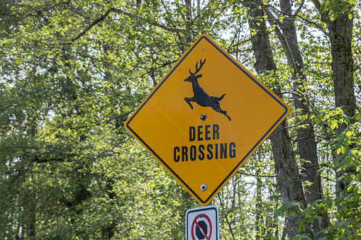 Deer Crossing sign seen in the park in sunny day, Canada.