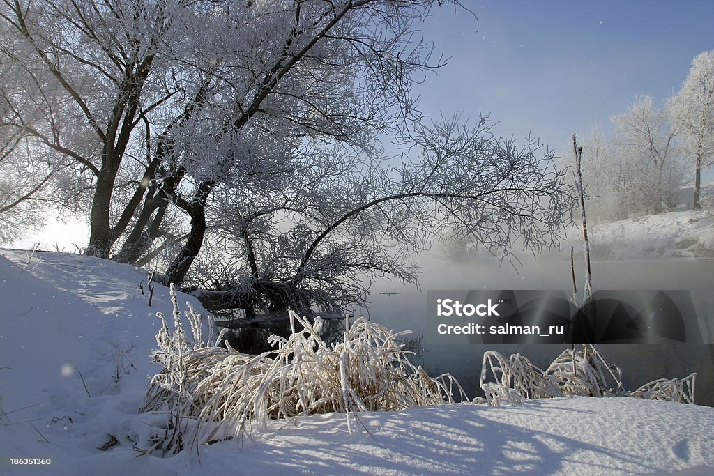 Nebbioso mattino sul fiume Zai - Foto stock royalty-free di Albero
