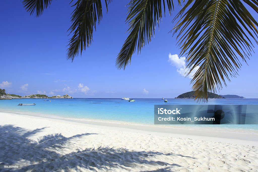 Similan Islands Tropical beach, Similan Islands, Andaman Sea, Thailand Andaman Sea Stock Photo