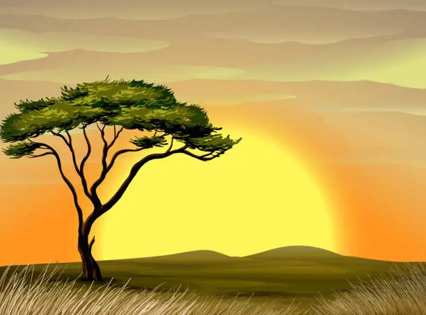 Vector illustration of Vector illustration of tree in a desert at sunrise