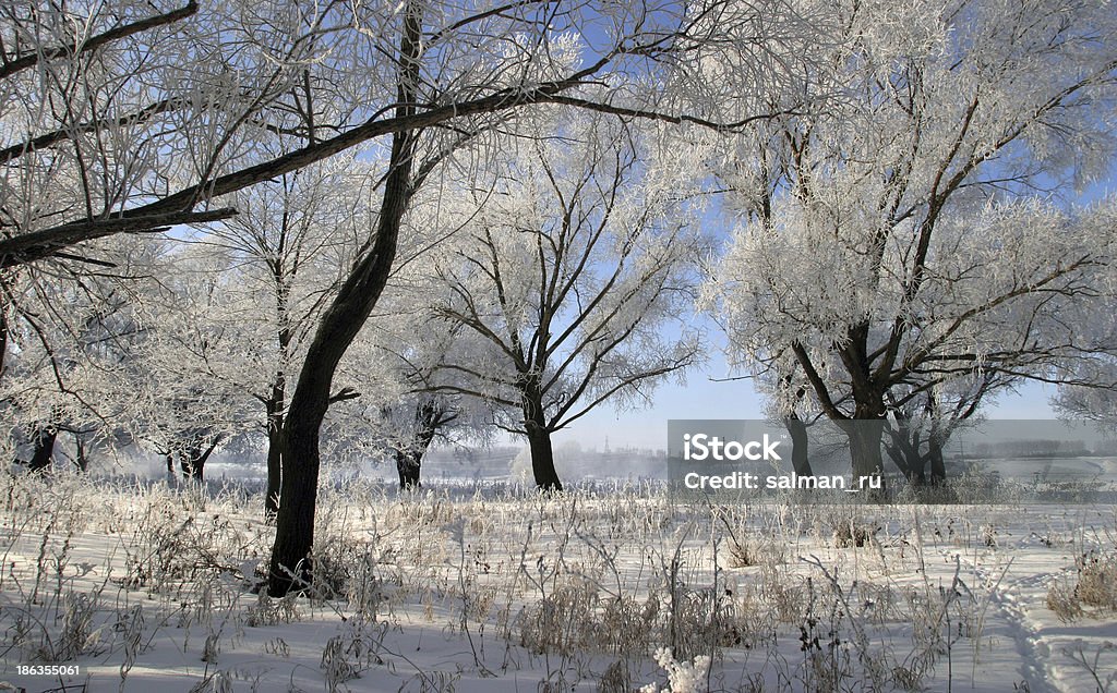 Paisagem de inverno - Foto de stock de Azul royalty-free