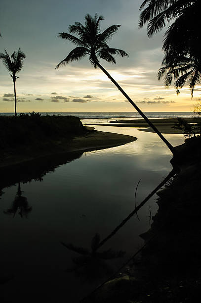 istock Palm Trees Sunset Colorful Sky backlight ,Thailand 186355430