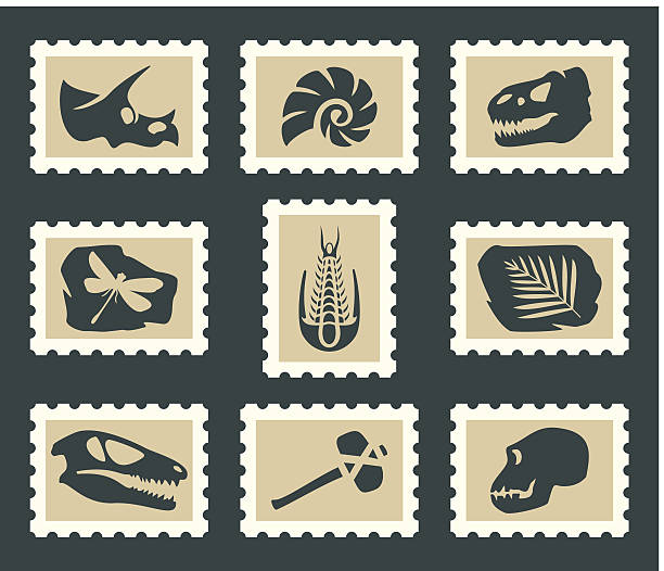 Fossils set vector art illustration