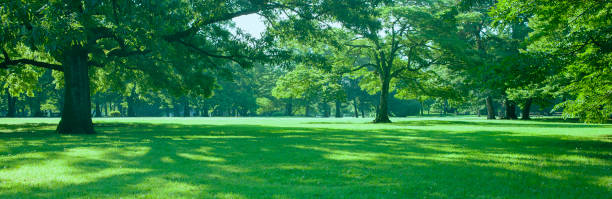 istock Green Park banner 1863563050