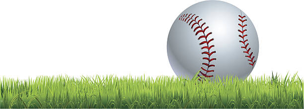 ilustraciones, imágenes clip art, dibujos animados e iconos de stock de bate de béisbol - baseball baseball diamond grass baseballs