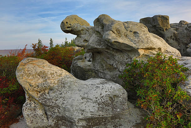 istock Turtle Rock at Bear Rocks WV 186357198