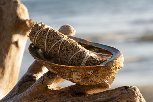 A calming image of a single white sage smudge stick in an abalone shell propped up on a driftwood log with the Pacific Ocean in the background.