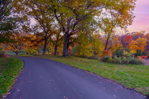 Road in autumn forest. Autumn landscape