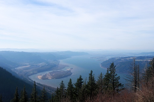 Aerial view of Columbia river from behind trees, on an overcast day. Taken in the Columbia River Gorge along the Angels Rest trail, a hiking trail in a national scenic area to the east of Portland, Oregon.