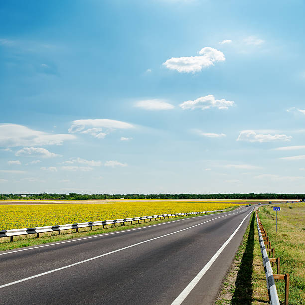 istock asphalt road under cloudy sky 186360750