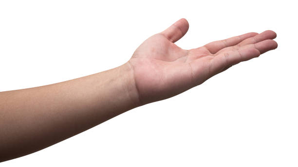 istock Male hand reach and ready to help or receive. Gesture isolated on white background. 1863608960