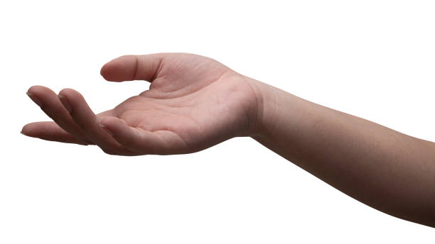 istock Male hand reach and ready to help or receive. Gesture isolated on white background. 1863609969
