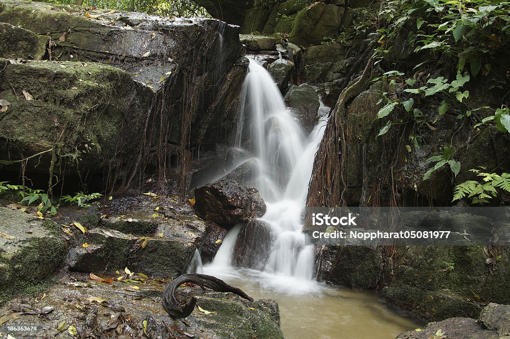 Небольшой водопад и камней в лесу, Таиланд - Стоковые фото Влажный роялти-фри
