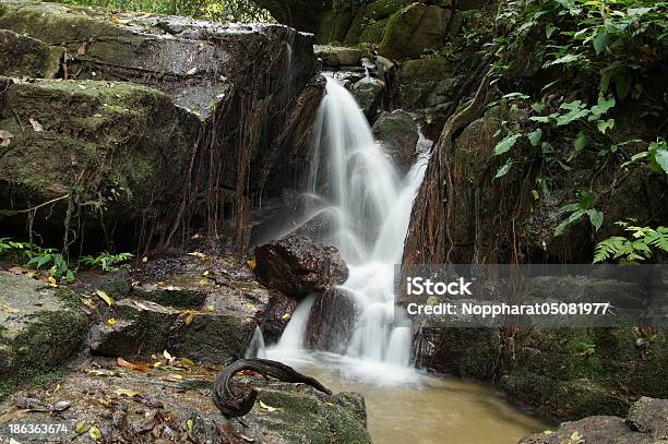 Небольшой Водопад И Камней В Лесу Таиланд — стоковые фотографии и другие картинки Влажный - Влажный, Водопад, Глыба