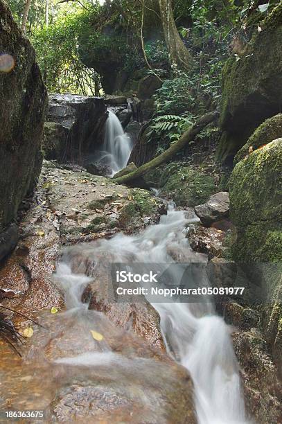 Rocas Y La Cascada Pequeña En La Selva Tailandia Foto de stock y más banco de imágenes de Aire libre - Aire libre, Bosque, Caer
