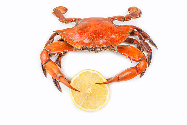 istock Steamed Blue Crab on white background 186364974