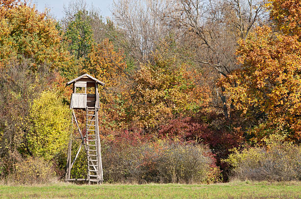 istock Autumn color forest with hunting stand 186366970