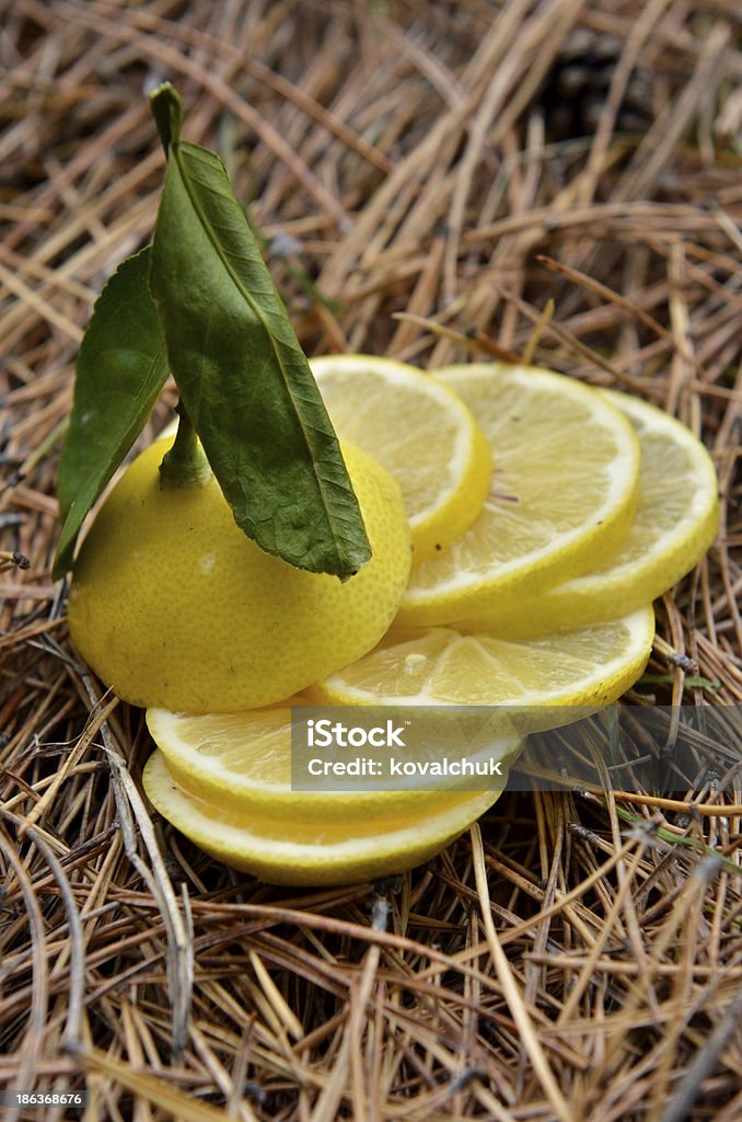 Zitrone auf natürlichen Hintergrund - Lizenzfrei Blatt - Pflanzenbestandteile Stock-Foto