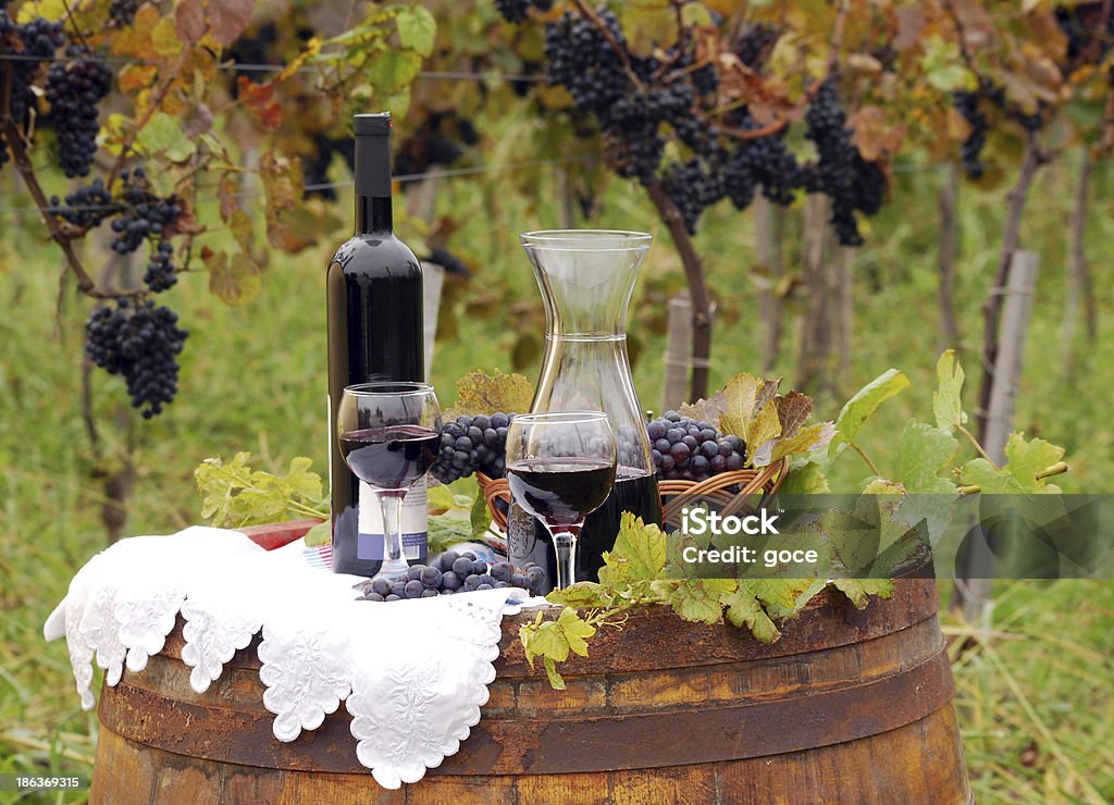 Vinhedo com uvas e vinhos - Foto de stock de Amarelo royalty-free