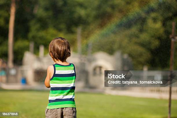 Мальчик Глядя На Rainbow — стоковые фотографии и другие картинки Брызги - Брызги, Веселье, Влажный