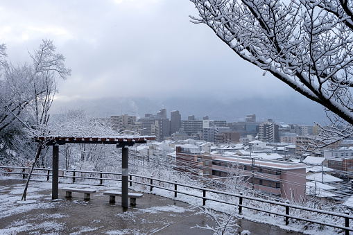 Observation deck in suburban Kyoto (Yamashina Ward) on a snowy winter day. Two benches with a roof covereing them. A fence along the deck's edge. Background is a residential area with apartment buildings and other structures. The mountains are obscured by low clouds. Branches covered with snow.