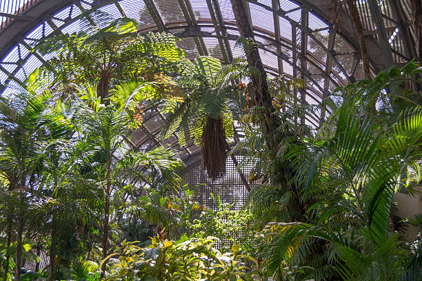 istock Inside the Botanical Building, Balboa Park 186375275