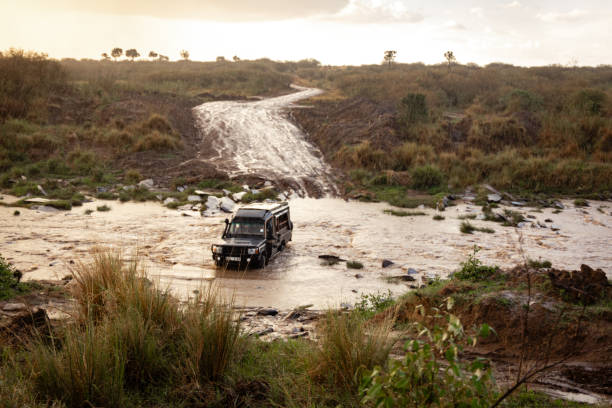 Safari Jeep Crossing Rushing River a Toyota Land Cruiser traversing the Talek River in Masai Mara National Reserve, Kenya river safari stock pictures, royalty-free photos & images