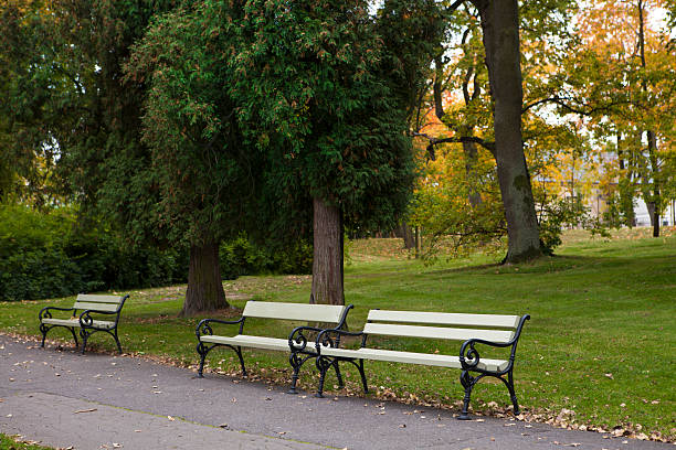 istock Benches in the park. Empty, lonely. 186376634