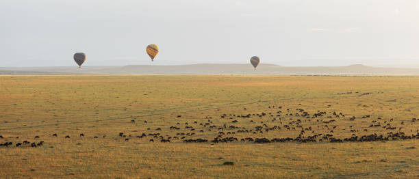 istock Hot Air Balloons Dot the Horizon Overlooking Countless Wildebeests Panoramic 1863772532