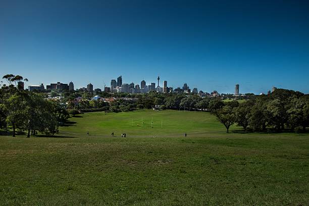 istock Sydney City Silhouette through Park 186381423
